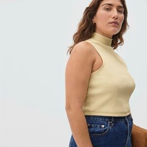 Everlane ribbed mock neck crop tank in balsa
